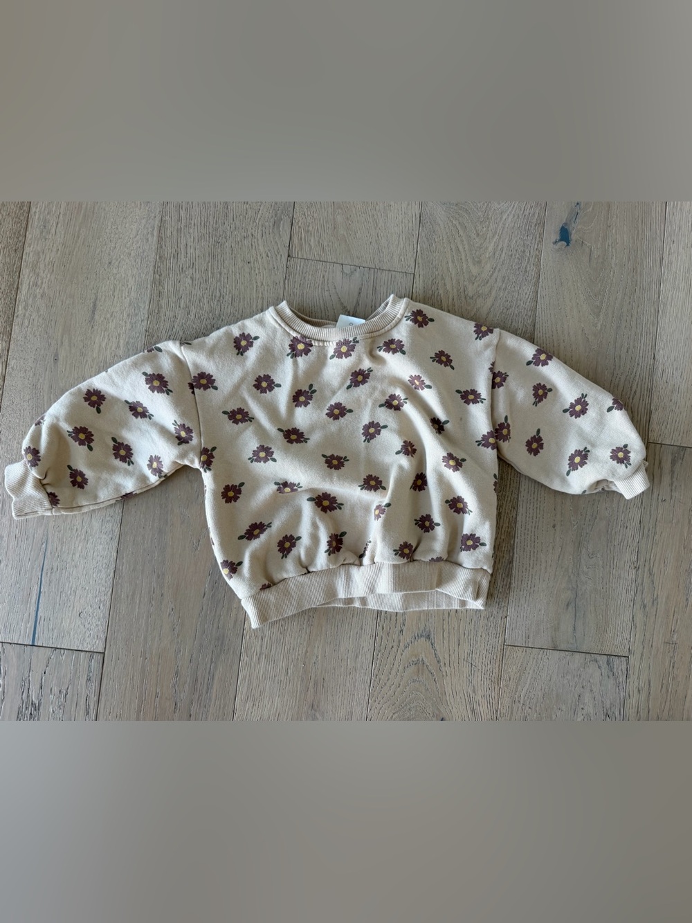 ⁠Zara Kids Floral Sweatshirt Beige Brown Daisy Print Pullover Size 4